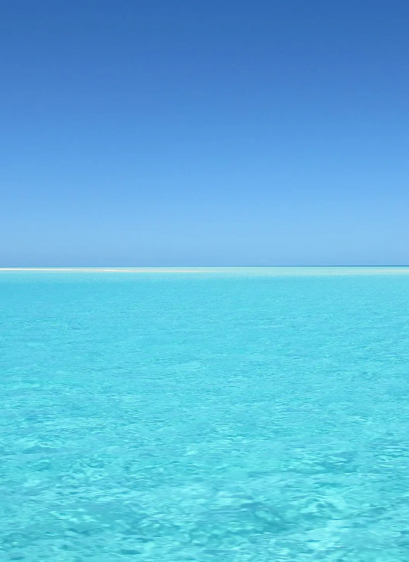 Blue Ocean in Marketing Communication